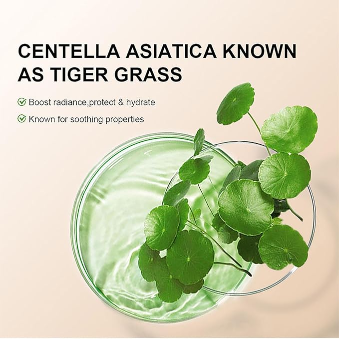 Centella asiatica known as tiger grass ingredient graphic with green leaves in a jar