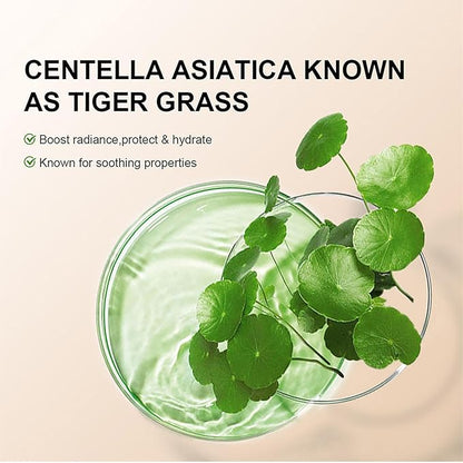 Centella asiatica known as tiger grass ingredient graphic with green leaves in a jar