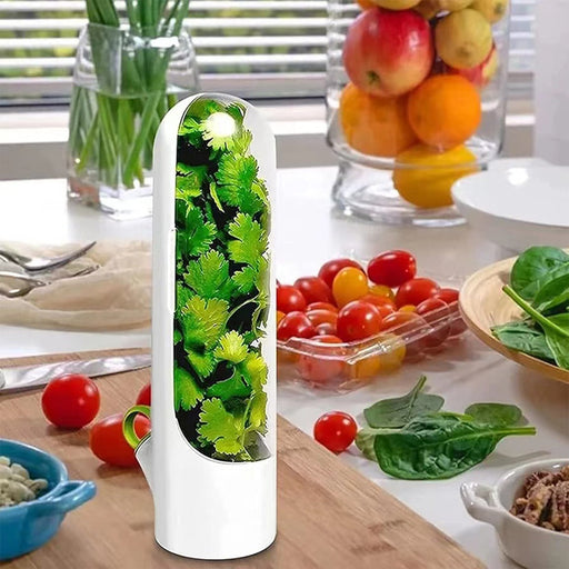 Herb Saver for Refrigerator, Herb Saver Pod,Fresh Herb Keeper for Mint, Parsley, Asparagus, Keeps Greens Fresh for 2-3 Weeks || UAEdealz