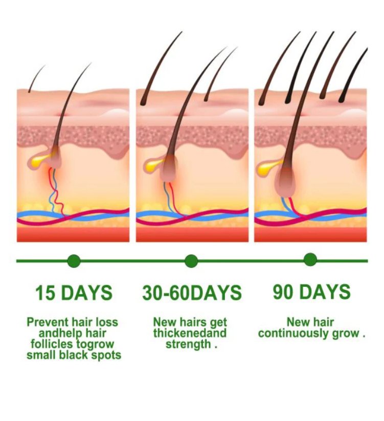 Rosemary oil timeline diagram: 15, 30–60, and 90 days hair growth