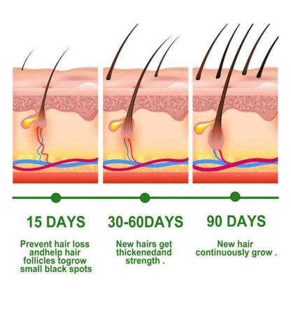 Rosemary oil timeline diagram: 15, 30–60, and 90 days hair growth